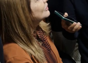 Após ondas de ataques ao governador, Deputada Iracema Vale destaca Carlos Brandão como líder equilibrado e diplomático.