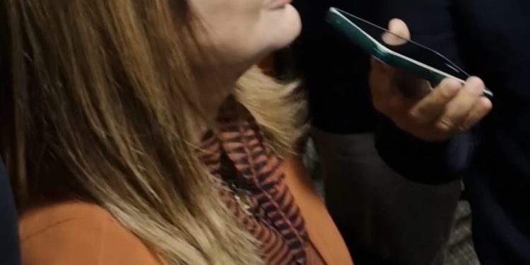 Após ondas de ataques ao governador, Deputada Iracema Vale destaca Carlos Brandão como líder equilibrado e diplomático.